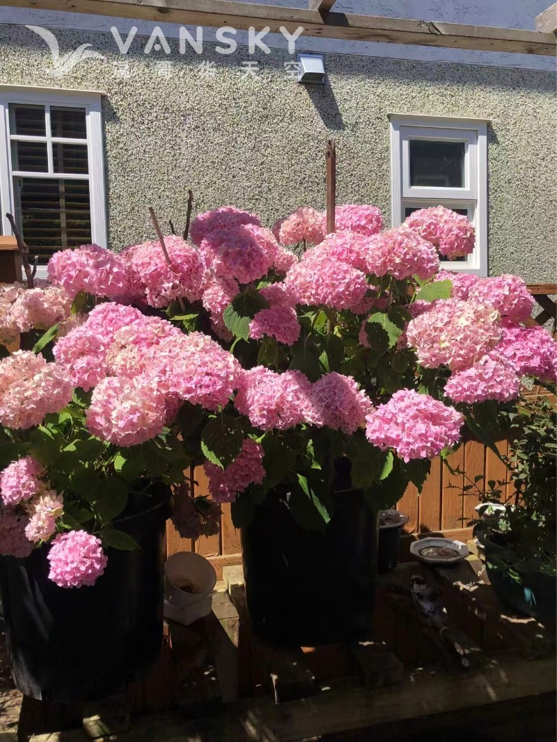 250603193115_Weixin Image_20250603193014.jpg